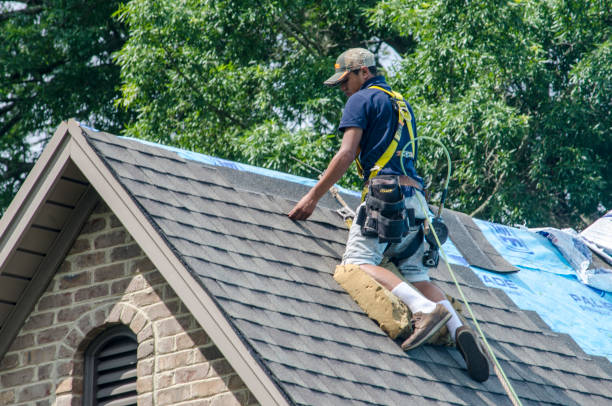 Quick and Trustworthy Emergency Roof Repair Services in Enterprise, AL